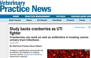 Cranimals Featured in Veterinary Practise News