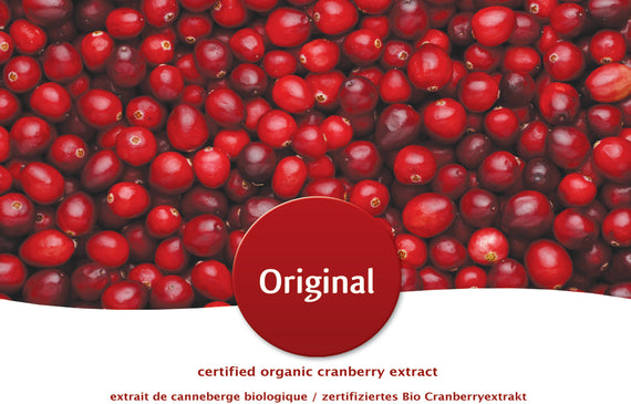 Urinary Tract Infections in dogs linked to diabetes and struvite stones