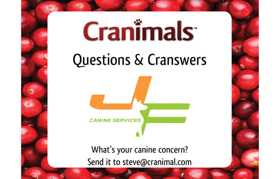Cranswers with J&F!