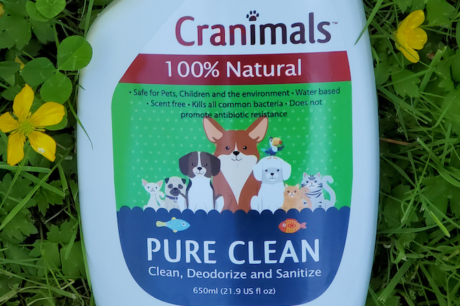 Natural antibacterial for dogs outlet