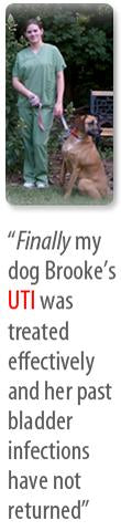 Finally my dog Brooke's UTI was treated effectively and her past bladder infections have not returned - Interview with Jennifer Norato