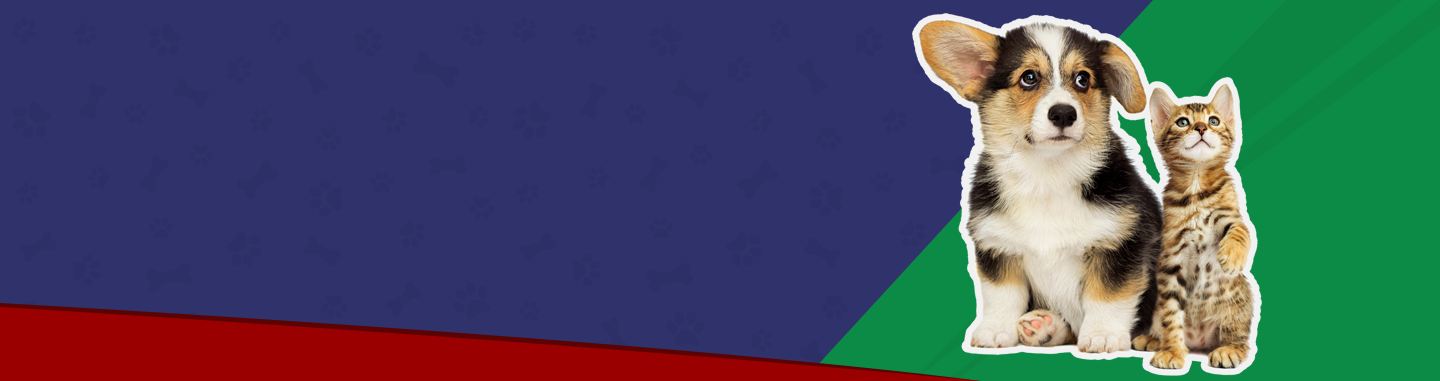 Supplements for cats sales with heart disease