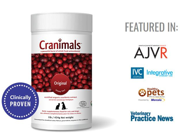 Cranimals Original Urinary Tract (UTI) Pet Supplement 454 G/ 1 Lb Jar  – Natural Pet Health Struvitre stones, Recurrent UTIs